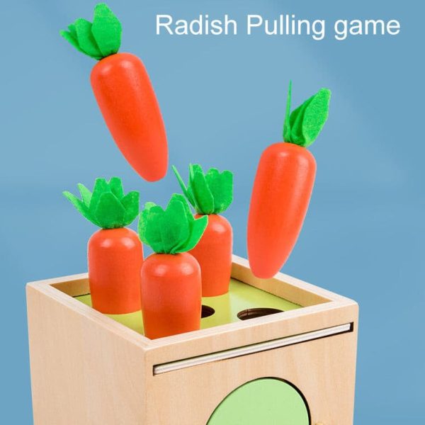 5 in 1 Wooden Montessori inspired Puzzle Game Box